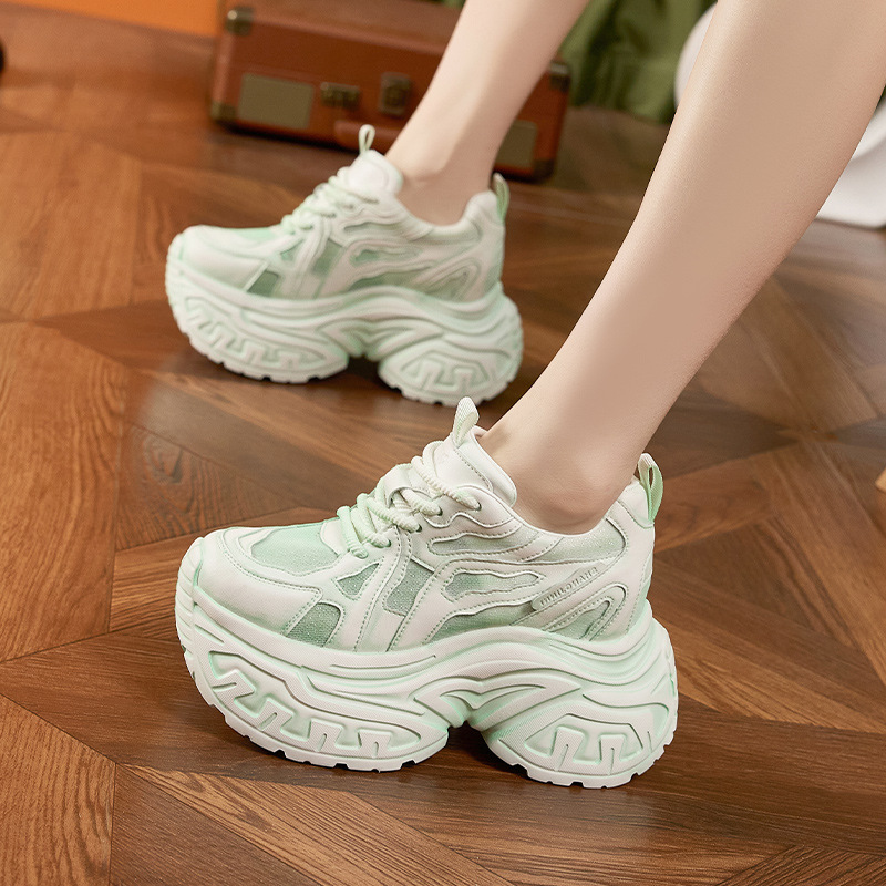 여성 패션 청키 플랫폼 스니커즈 통기성 메쉬 미끄럼 방 - Platform Sneakers Chunky 리뷰 및 가격
